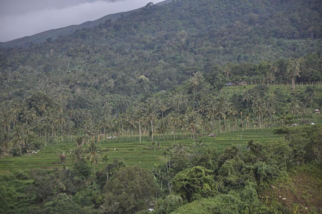 Pondok Guru Bakti Cottage Senaru Luaran gambar