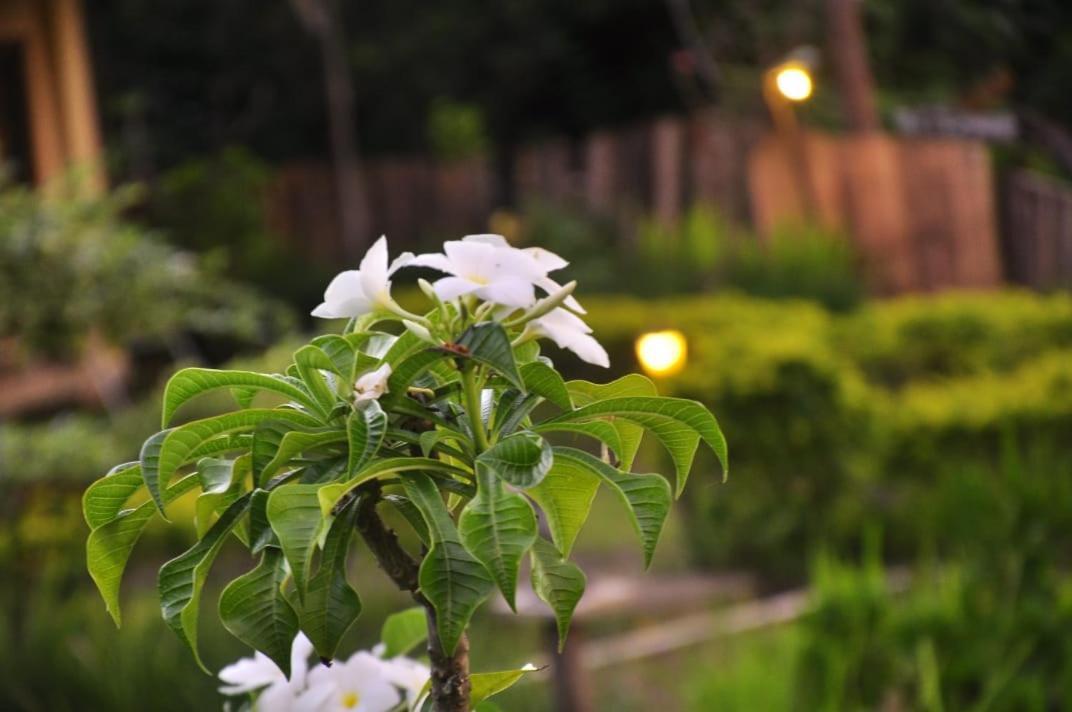 Pondok Guru Bakti Cottage Senaru Luaran gambar